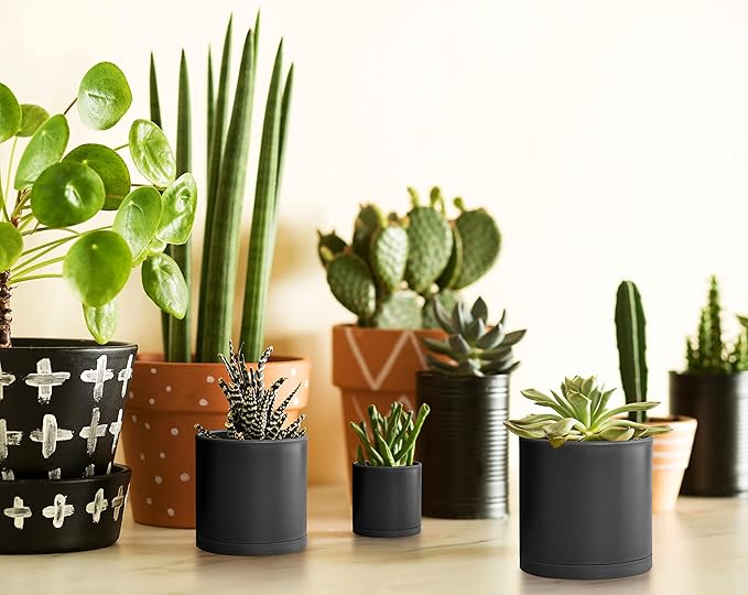 D'vine Dev Pack of 36 Plastic Plant Pots (12 Set of 2 Inch, 2.5 Inch, 3 Inch) Small Garden Planter Pots for Plant with Drainage Holes and Saucers, Black, 74-T-B