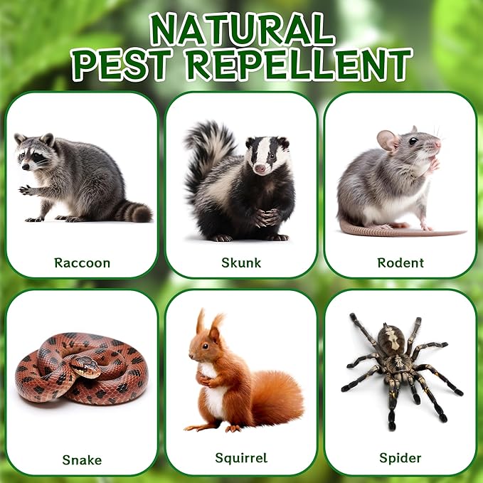 12 Pack Skunk Repellent Outdoor - Natural Raccoon Repellent Balls for Yards, Gardens, Keep Raccoon Away with Humane & Odorless, Raccoons Deterrent Long-Lasting Granules Safe for Pets & Kids