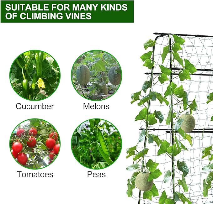 FOLLOOK Cucumber Trellis for Raised Bed, 5x5ft Metal Garden Trellis Climbing Plants Outdoor Tomato Plant Support Grape Vegetables Squash Bean Pea Cucumber Trellis, with Netting, Black