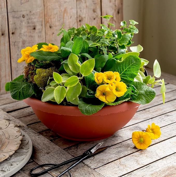 The HC Companies 20 Inch Large Garden Bowl Planter - Shallow Plant Pot with Drainage Plug for Indoor Outdoor Flowers, Herbs, Slate Blue (Pack of 5)