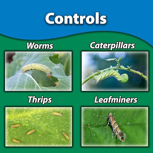 Monterey - Spinosad Insecticide Bundled with Measuring Spoon - Organic Gardening Spinosad Garden Insect Spray Concentrate for Control Insects - 32 oz