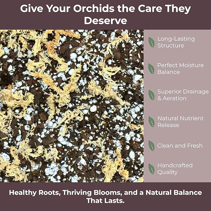 GARDENWISE Orchid Potting Mix – Orchid Bark, Sphagnum Moss, Tree Fern & Perlite for Repotting Phalaenopsis Orchids, Indoor Plants, Orchid Soil Medium – Sustrato para Orquídeas (4 Quart)