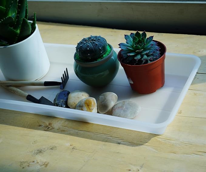 VUWEZ 2 Pack of Plastic Plant Tray Saucer Rectangular, Plant Trays Saucers for Indoors Outdoor, Plant Water Drip Tray for Flower Pot Planter, Windowsill Plant Tray (6.5 X 13 Inch, Clear)