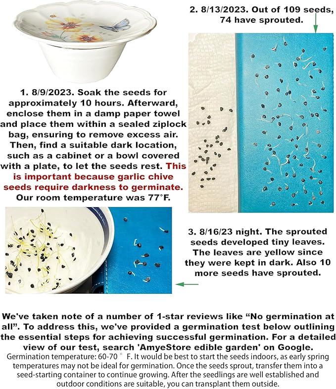 2026 Early Bird-Garlic Chive Seeds for Planting. Heirloom,Non-GMO.Vegetable Seeds for Planting, Herb Seed for Home Herb Garden or Indoor Garden,Hydroponic Pods Plant Seeds-韭菜Chinese Chive Seed,1g