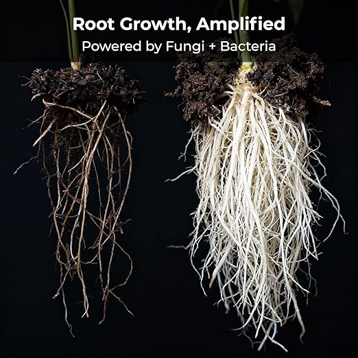 Real Growers Recharge 16oz – Mycorrhizae & Soil Microbes Instant Compost Tea for Root Growth, Transplant Support & Nutrient Uptake