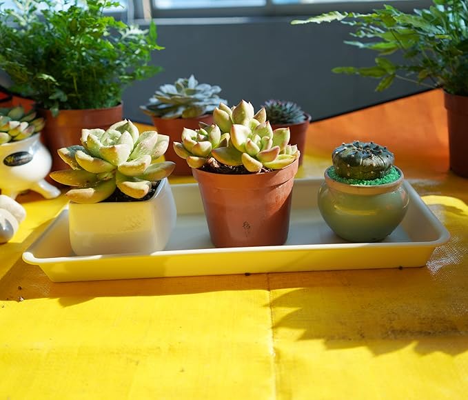 VUWEZ 2 Pack Plastic Plant Tray Saucer Rectangular 30 inch, Indoor/Outdoor Plant Water Drip Tray for Flower Pot Planter, Windowsill (8 X 30'', Beige)