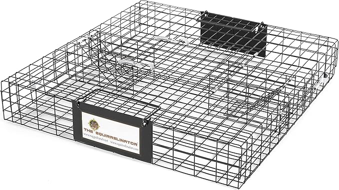 Rugged Ranch Squirrelinator w/ Waste Basin Outdoor Multi-Catch Squirrel Trap - Humane Live Cage Catcher, Rodent Control for Barns, Garages, Sheds, Gardens, Farms, Yards or Lawns