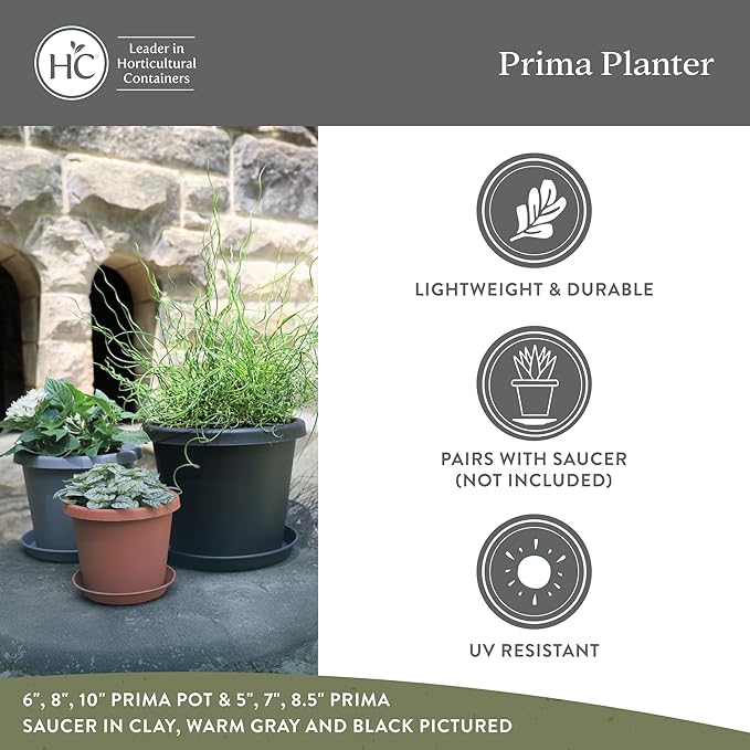 The HC Companies Prima Round Plastic Plant Pot w/Rolled Rim - Lightweight & UV Resistant Flower Pot for Herbs & More - Outdoor & Indoor Plant Pots w/Drainage (12 inch, Warm Gray, Pack of 1)