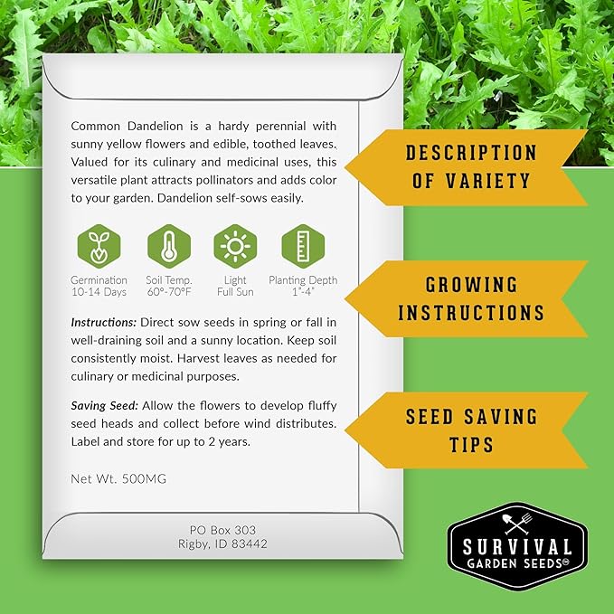 Survival Garden Seeds Common Dandelion Seed - 2 Packets with Instructions to Plant & Grow Nutritious Medicinal Plants & Leafy Greens in Your Home Herb or Vegetable Garden - Non-GMO Heirloom Variety