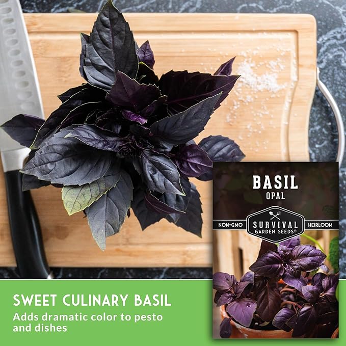 Opal Basil Seeds for Planting - Dark Opal Basil with Purple Leaves - Unique Herb Seed Variety - Heirloom, Non-GMO Herbs for Home Gardens - Survival Garden Seeds (2 Pack)