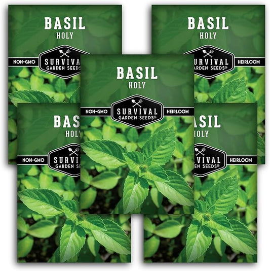 Holy Basil Seed for Planting - Indian Sacred Herb Tulsi Seeds to Grow in Your Home Vegetable Garden - Non-GMO Heirloom Variety - Survival Garden Seeds (5 Packs)