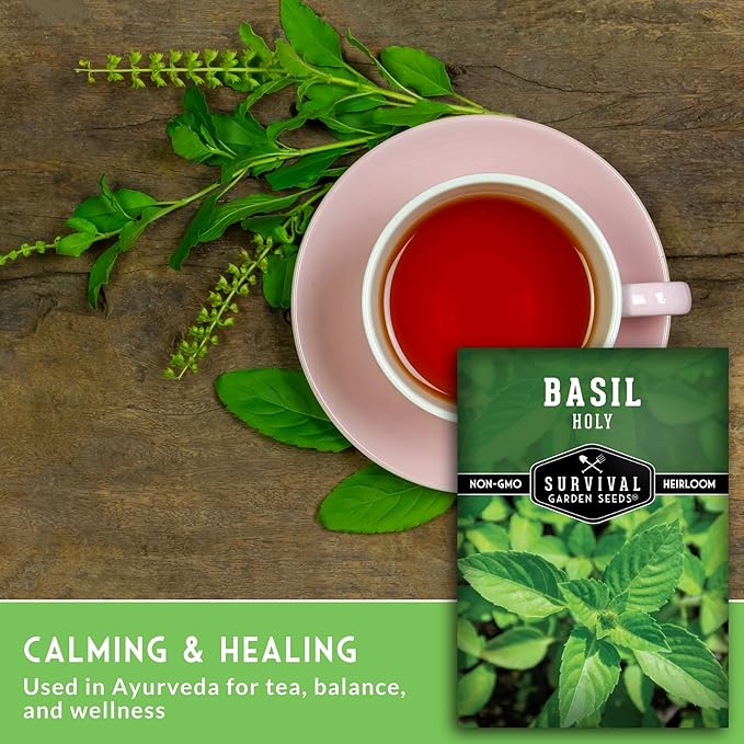 Holy Basil Seed for Planting - Indian Sacred Herb Tulsi Seeds to Grow in Your Home Vegetable Garden - Non-GMO Heirloom Variety - Survival Garden Seeds (5 Packs)