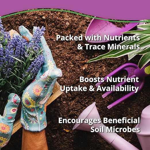 Kelp Bliss (5lbs) - Kelp Meal Organic Fertilizer for Plants, Garden Soil, Flowers, Vegetables, & Lawns - Organic Kelp Fertilizer & Soil Amendment - 100% Natural Plant Food Rich in Vitamins & Nutrients