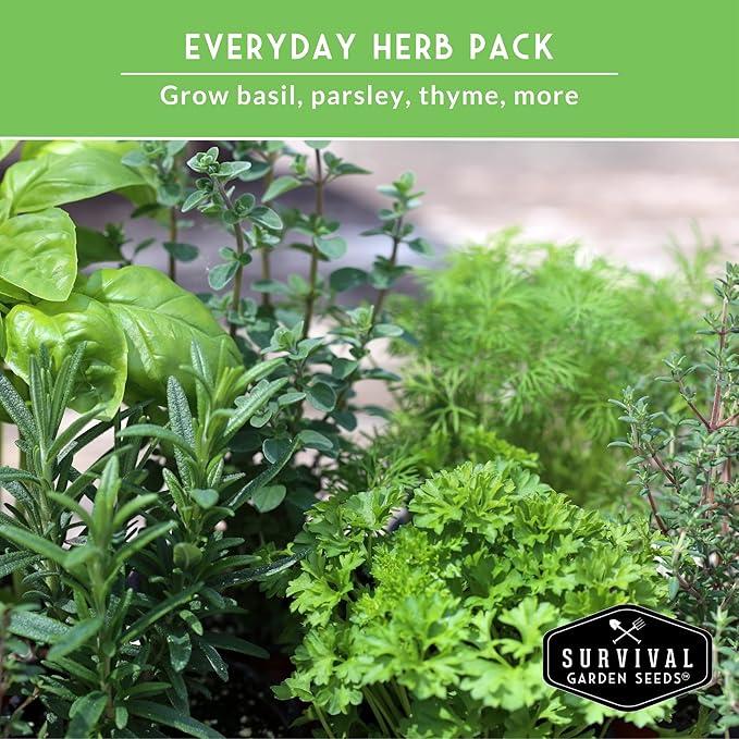 Kitchen Herb Seeds Variety Pack – 5 Garden Herb Seeds for Planting: Basil, Curly Parsley, Cilantro, Chives & Thyme – Heirloom Non GMO Indoor Outdoor Seed Vault - Survival Garden Seeds