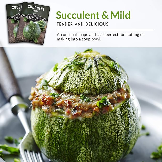 Round Zucchini Seed for Planting - Plant and Grow Small Green Zucchinis in Your Home Vegetable Garden - Non-GMO Heirloom Variety - Survival Garden Seeds (1 Pack)