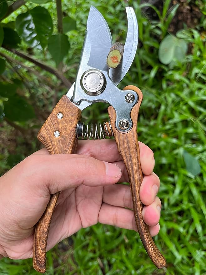 Garden Pruning Shears, Floral wire cutter, German Stainless Steel Blades, 1 inch Cut Capacity, Garden Snips for flowers with Non-Slip Handle, Lightweight & Ergonomic Professional