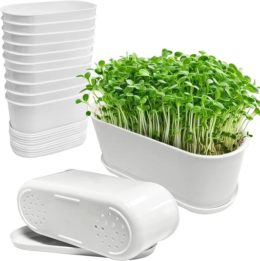 Window Box Planter with Saucers,10 Sets Rectangular Planter with Multiple Drainage Holes and Trays Plant Pots, for Succulent Cactus Flowers Vegetable