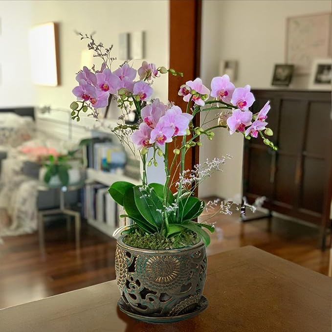 HERDUK Ceramic Orchid Pot with Drainage Holes & Saucer, 6.5 Inch, Indoor Orchid Containers with Precise Aeration & Drainage, Dark Gray