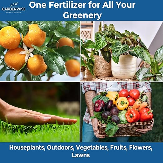 Gardenwise 20-20-20 Water-Soluble Fertilizer – Powder for Liquid Plant Food for Indoor & Outdoor Plants, Orchids, Vegetables, Lawns, Flowers – 20 20 20 Fertilizer 5 Quarts (10 lbs)