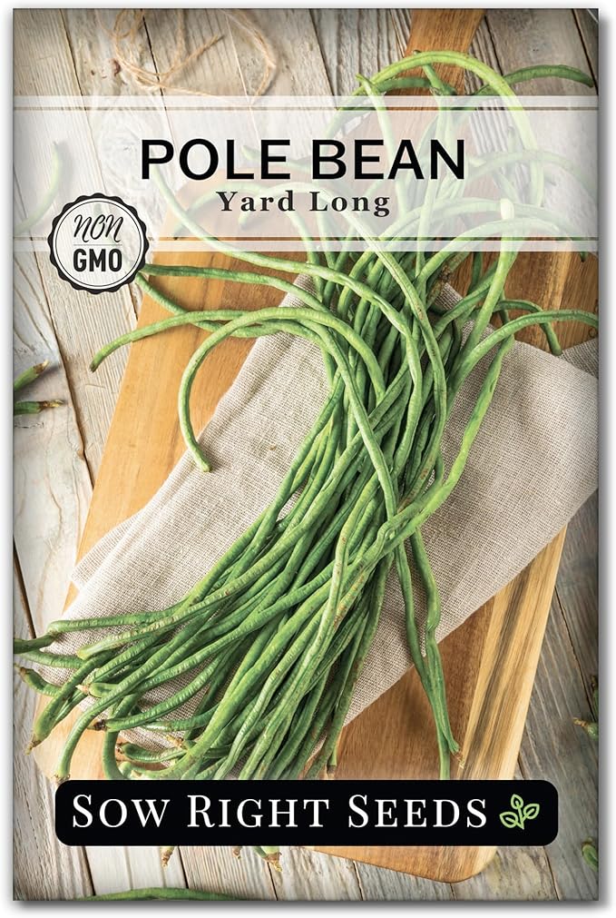 Sow Right Seeds - Asparagus Yard Long Pole Bean Seeds for Planting - Non-GMO Heirloom Packet with Instructions to Plant & Grow an Outdoor Home Vegetable Garden - Productive Green Snake Beans (1)