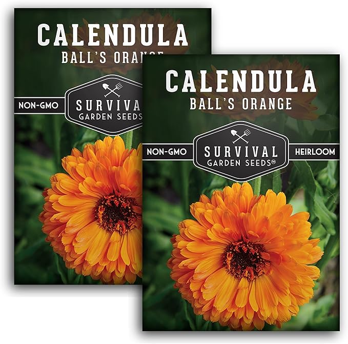 Ball’s Orange Calendula Seeds for Planting – Medicinal Herb & Edible Flower with Bright Orange Blooms – Heirloom Pot Marigold for Skin Care & Teas – Survival Garden Seeds (2 Packs)