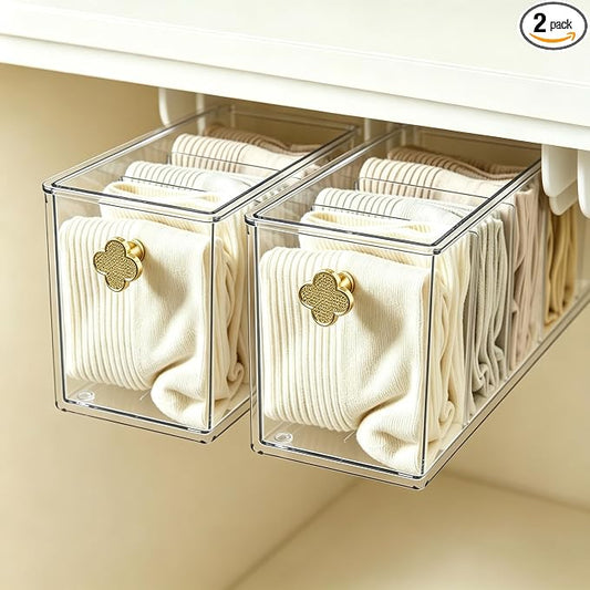 Hanging Underwear Drawer Organizer, Stackable Bra & Sock Organizer for Closet, Wall Mounted Storage Box for Bra, Socks, Underwear, Tie, Belt, Scarf, Punch-Free Installation (2)