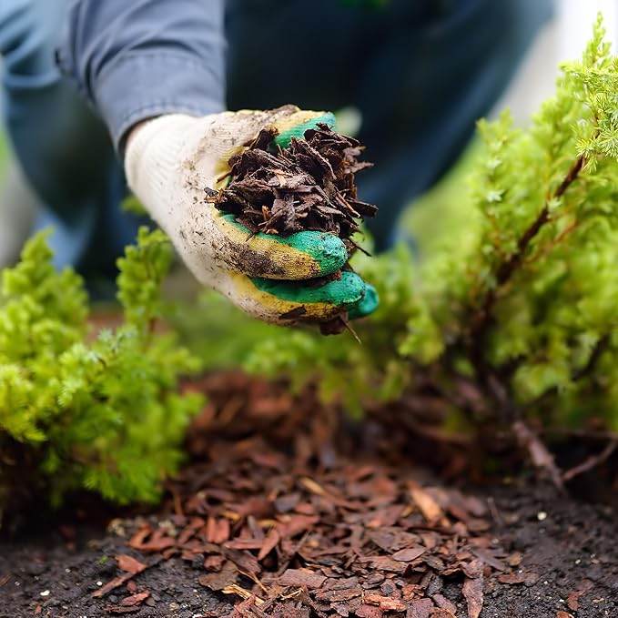 GARDENWISE Premium Brown Wood Mulch for Landscaping, Gardens, Lawns, Potting Media, and Potted Plants (0.3 CF - 8 L - 9 QTS)