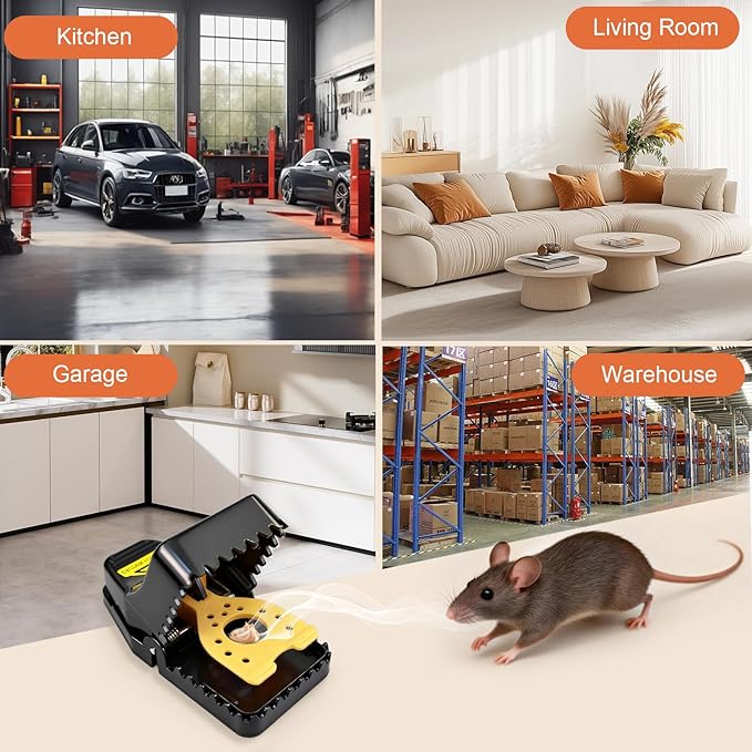 6 Pack Mouse Traps, Small Mouse Trap Indoor for Home, Mice Traps Snap High Sensitive, Easy & Quick-Set Mousetrap, Reusable Rat Trap, Sanitary Pet Safe Rodent Catcher for Outdoor/Garage/Kitchen/Garden