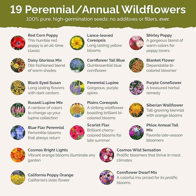 Eden Brothers New York Wildflower Mixed Seeds for Planting, 1/4 lb, 120,000+ Seeds with Coneflower, Cosmos | Attracts Pollinators, Plant in Spring or Fall, Zones