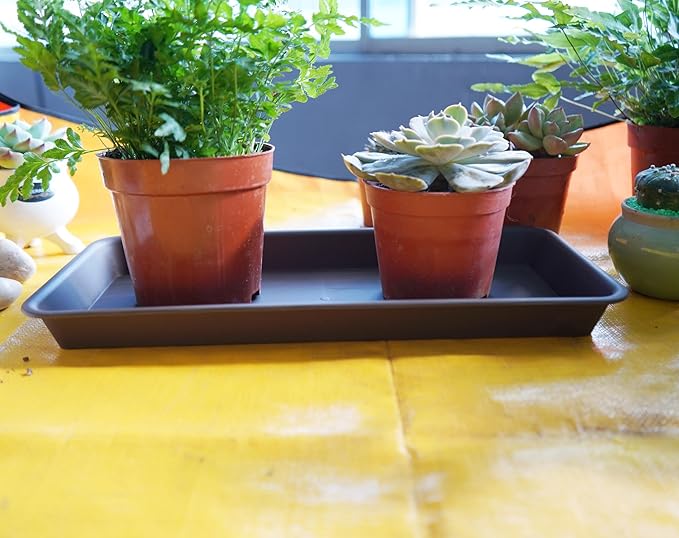 VUWEZ 2 Pack of Plastic Plant Tray Saucer Rectangular, Plant Trays Saucers for Indoors Outdoor, Plant Water Drip Tray for Flower Pot Planter, Windowsill Plant Tray (6.5 X 13 Inch, Brown)
