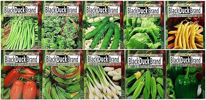 Set of 25 Premium Variety Herbs and Vegetables - Deluxe Garden Choices for Premium Gardening! (25 Variety Herbs and Vegetables Deluxe Assortment)