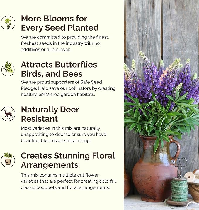 Eden Brothers Texas Wildflower Mixed Seeds for Planting, 1 oz, 30,000+ Seeds with Cornflower, Birds Eyes, African Daisy | Attracts Pollinators, Plant in Spring or Fall, Zones 3, 4, 5, 6, 7, 8, 9, 10