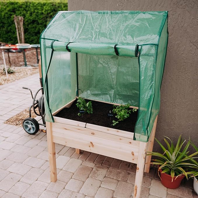 Backyard Expressions 36"x24" Elevated Garden Bed with Greenhouse Cover – Raised Wooden Planter Box with Legs, Mini Outdoor Greenhouse, 66" Tall