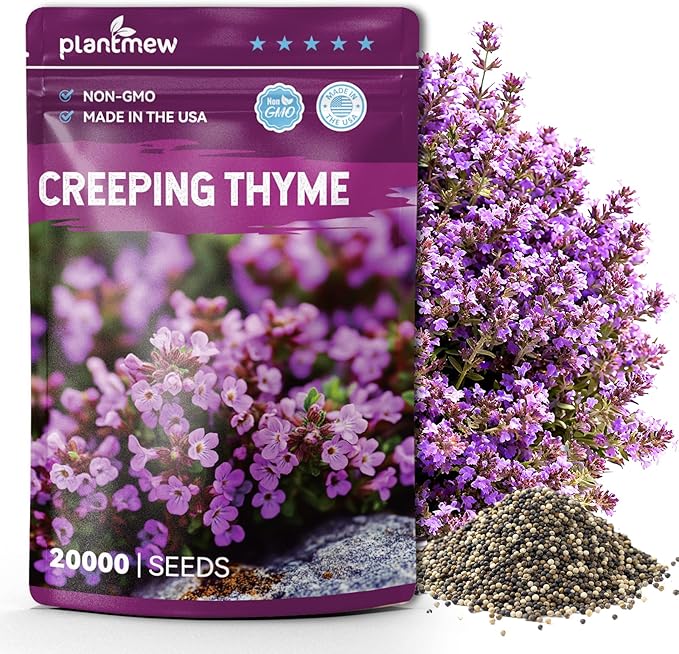 20000+ Creeping Thyme Seeds for Planting, Non-GMO Ground Cover Seeds, Fragrant Lawn Alternative for Garden, Paths & Landscaping (10g / 0.35 oz)