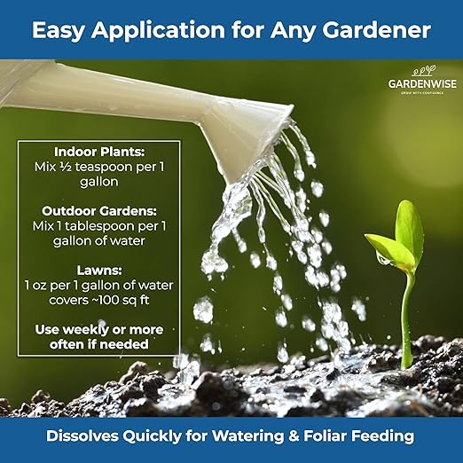 Gardenwise 20-20-20 Water-Soluble Fertilizer – Powder for Liquid Plant Food for Indoor & Outdoor Plants, Orchids, Vegetables, Lawns, Flowers – 20 20 20 Fertilizer 1 Quart (2 lbs)