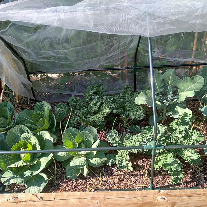 Ultra Fine Mesh Garden Netting, Durable Insect Netting for Plant Protection, 5 x 20FT Raised Bed Cover, Row Cover Pest Barrier for Vegetables, Fruit Trees, Flowers