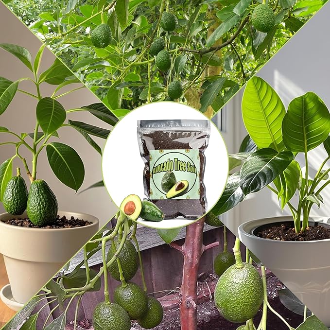 Organic Avocado Tree Potting Soil Mix 1qt, Enhance Growth and Transplant Success for Avocado Plants