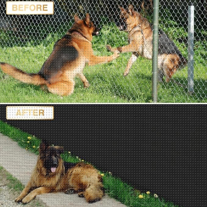 Privacy Fence Screen 5' x 160 Fencing Cover Heavy Duty Mesh Windscreen Cloth for Outdoor Garden Patio Backyard Chain Link Fence Black