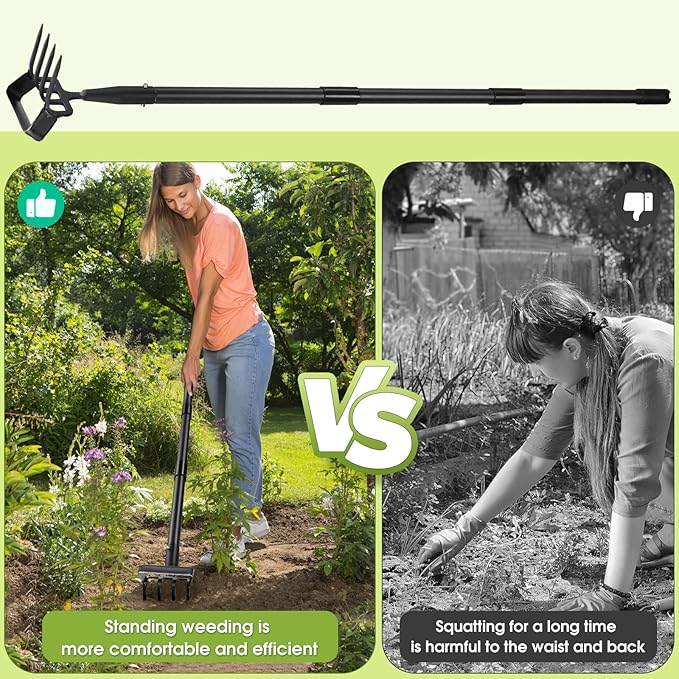 Garden Hoe, 4 Tines Hand Weeding Hoe Garden Tool and Cultivator Long Handle 62", Action Stirrup Scuffle Field Digging Hoe Heavy Duty for Lawn Gardening Weed