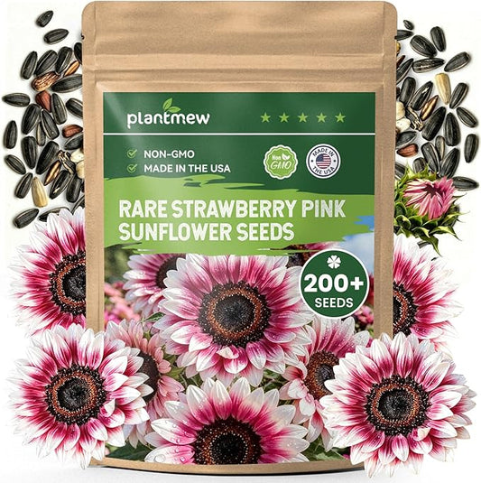 200+ Strawberry Pink Sunflower Seeds – Rare Pink Ornamental Blooms, Open Pollinated, Easy to Grow Flower Seeds for Garden, Outdoor Planting & Landscaping 0.35 Oz