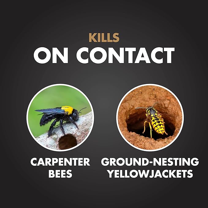 Spectracide Carpenter Bee And Ground-Nesting Yellowjacket Killer Foaming Aerosol 16 Ounces, Expands To Where Insects Live, 12 Pack