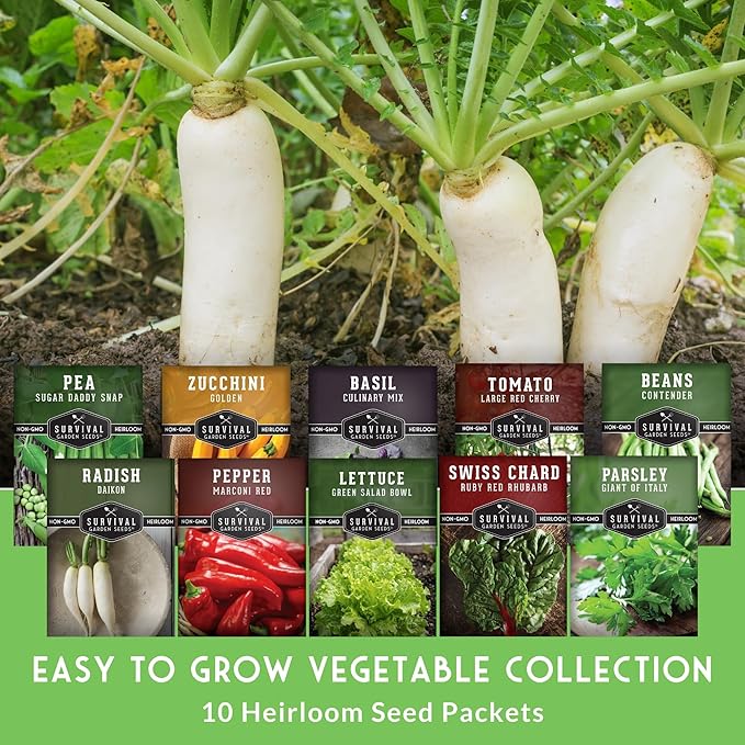 Easy to Grow Vegetable & Herb Seed Collection - 10 Packs of Non-GMO Heirloom Open-Pollinated Veg & Herb Essentials for Gardening Beginners - Seed Saver Instructions on Packets - Survival Garden Seeds