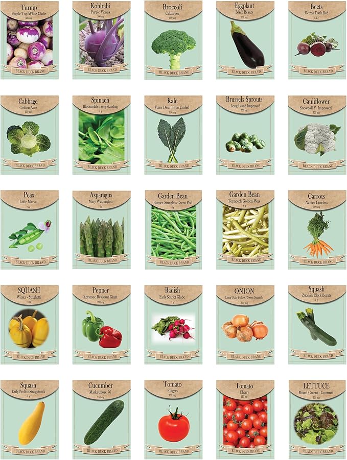 Set of 25 Super Food Seed Packets – Ultimate High-Yield, Nutrient-Dense Vegetable Varieties for Healthy Home Gardens – Non-GMO, Heirloom Seeds