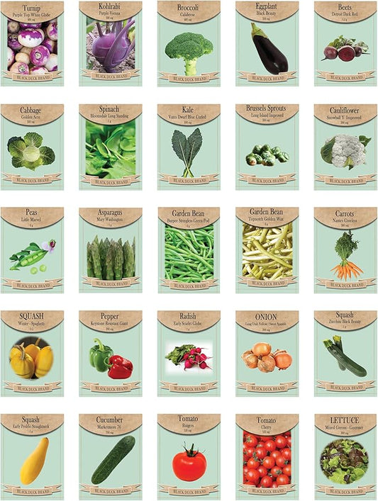 Set of 25 Super Food Seed Packets – Ultimate High-Yield, Nutrient-Dense Vegetable Varieties for Healthy Home Gardens – Non-GMO, Heirloom Seeds