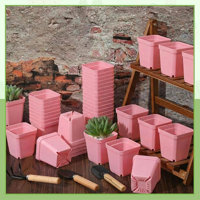 Yaomiao 200 Pack 3 Inch Pink Nursery Pot Square Flower Pots Plastic Plant Succulent Planter Seed Starting Pots with Drainage Holes for Garden Office Balcony Decor Indoor Outdoor Plant Seedling