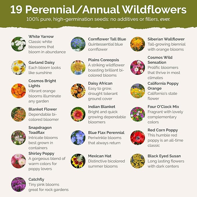 Eden Brothers Nevada Wildflower Mixed Seeds for Planting, 1 oz, 30,000+ Seeds with Yarrow, Cosmos | Attracts Pollinators, Plant in Spring or Fall, Zones