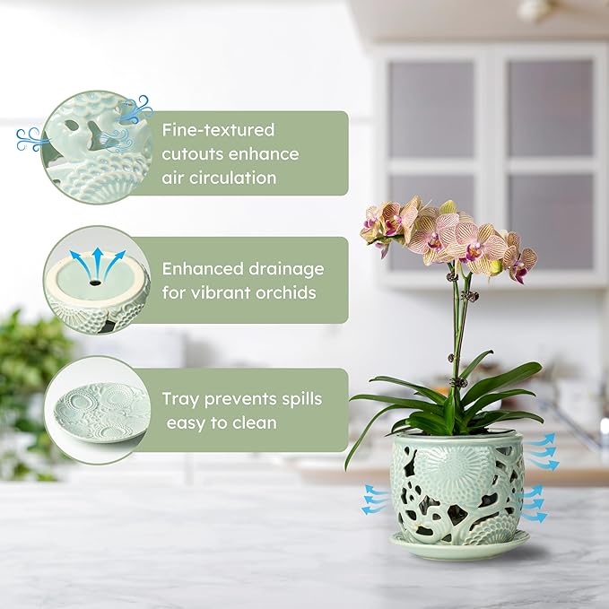 HERDUK Ceramic Orchid Pot, Orchid Pots with Drainage Holes & Saucer 6.5 Inch,Orchid Pot for Repotting Indoor, Orchid Containers with Precise Aeration & Drainage Sky Blue