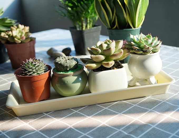 VUWEZ 2 Pack Plastic Plant Trays Rectangular 14 inch, Indoor/Outdoor Plant Water Drip Trays for Flower Pot Planter, Windowsill (6.8 X 14.5'', Beige)