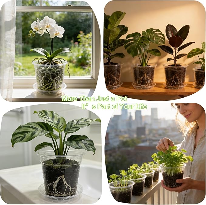 Clear Nursery Pots with Saucers 24 Pack, 4/5/6/7 Inch Plastic Plant Pots, for Indoor Outdoor Succulents Orchids Seedlings, Flower Containers with Drainage Holes and Tray, Small Garden Planters