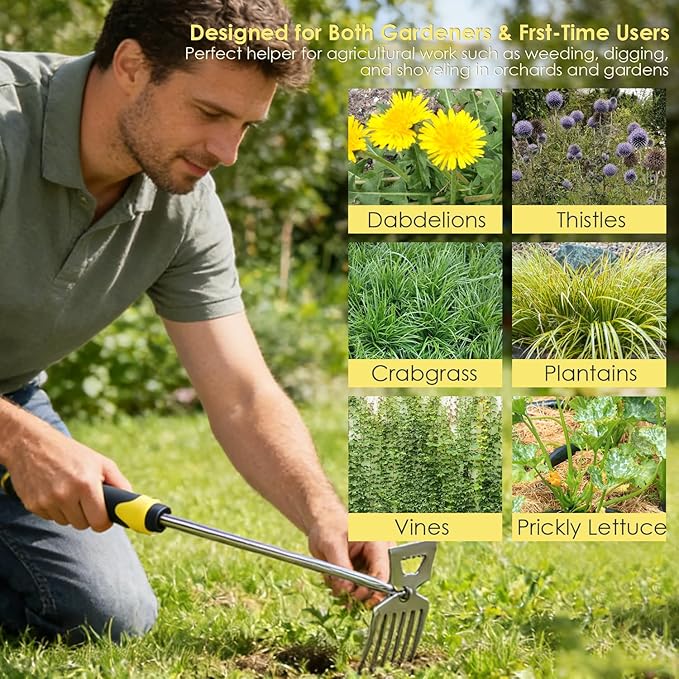 Weed Puller Tool, 3 Pack Garden Stainless Steel Weeder Tool, Garden Tools for Plant & Weeding, Crack Weeder Crevice Tool, Hand Weed Remover Tool for Deep Roots, Farm & Backyard
